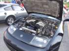 picture352_small.jpg