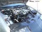 picture645_small.jpg