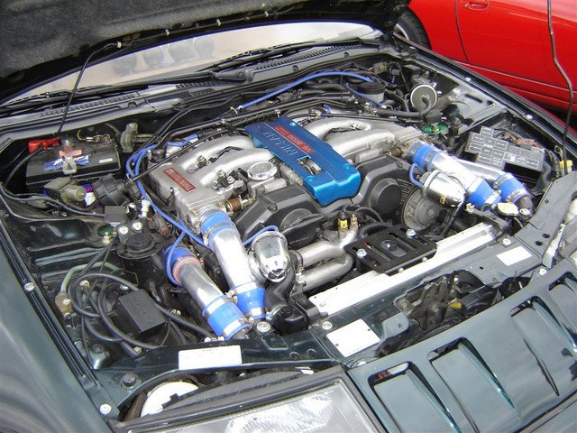photo6.jpg