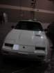 picture105_small.jpg