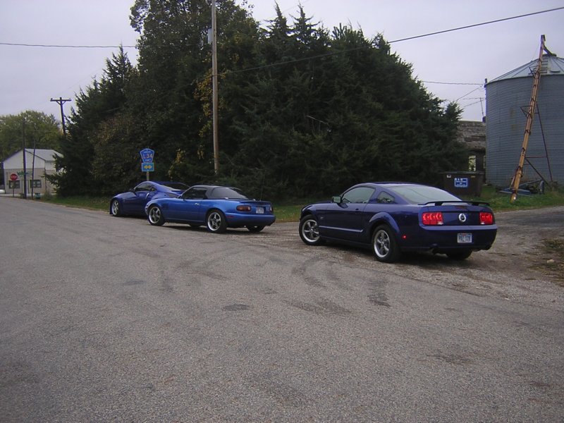 photo33.jpg
