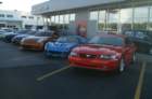 picture359_small.jpg