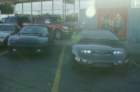 picture367_small.jpg