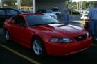 picture414_small.jpg