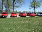 picture2244_small.jpg