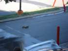 dsc01078_small.jpg