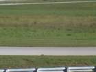 dvc00028_small.jpg