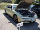 midwestzfest178_small.jpg