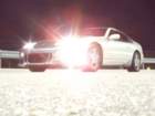 picture1113_small.jpg