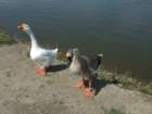 picture1221_small.jpg
