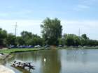 picture1225_small.jpg