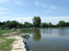 picture1226_small.jpg