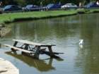 picture1228_small.jpg