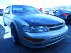 picture428_small.jpg