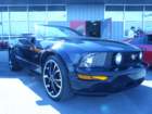 picture467_small.jpg