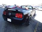 picture493_small.jpg