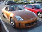 dsc05524_small.jpg