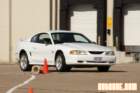 img_9741_small.jpg