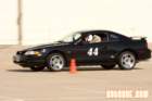 img_9748_small.jpg