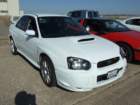 picture374_small.jpg