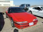 picture377_small.jpg