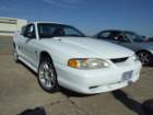 picture380_small.jpg