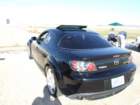 picture395_small.jpg