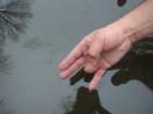 picture567_small.jpg
