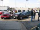 picture184_small.jpg