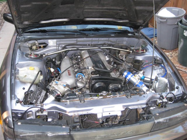picture187.jpg