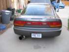 picture196_small.jpg