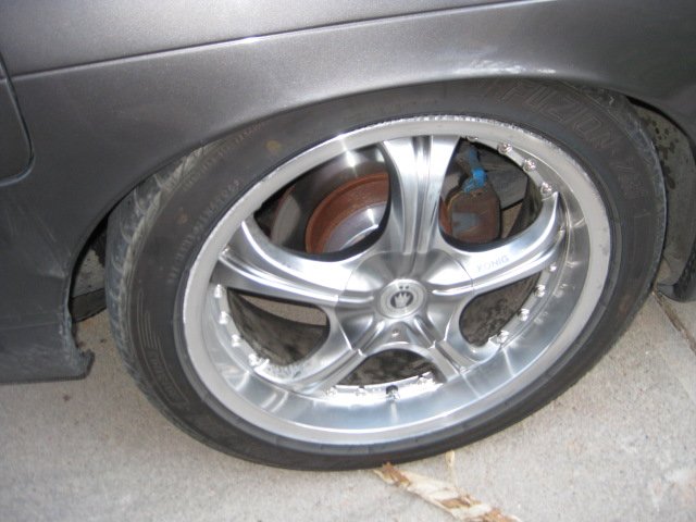 picture198.jpg