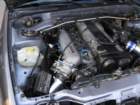 picture199_small.jpg