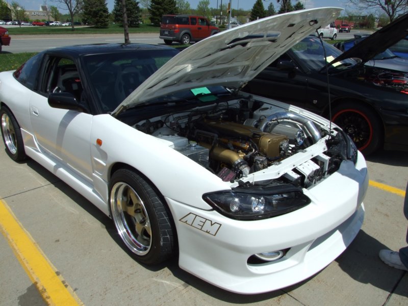 picture111.jpg