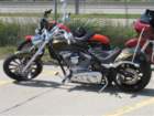 werner12_small.jpg