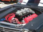 werner37_small.jpg
