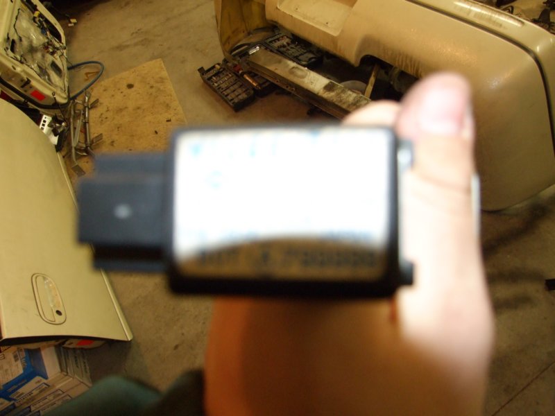picture736.jpg